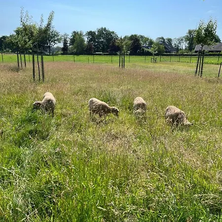 Weijdeblik Holiday home *