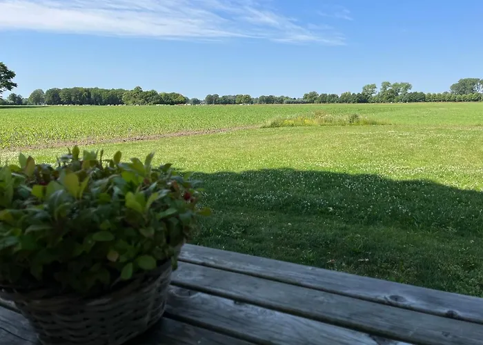 Weijdeblik Holiday home *