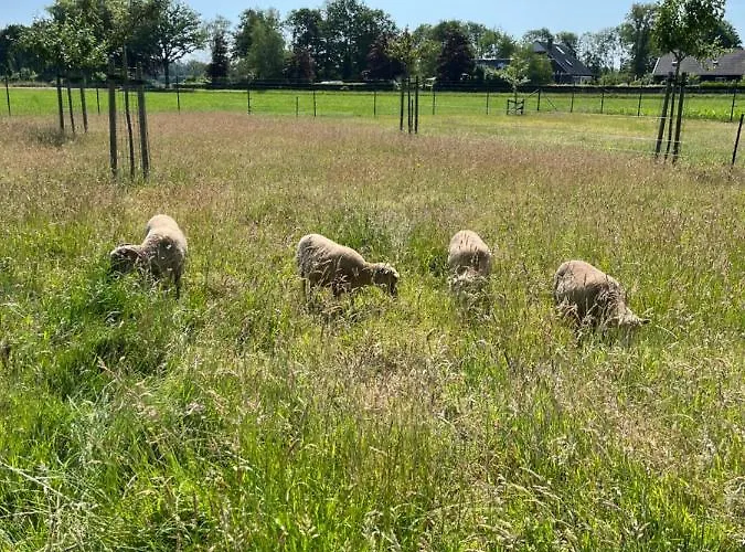 Weijdeblik Holiday home *